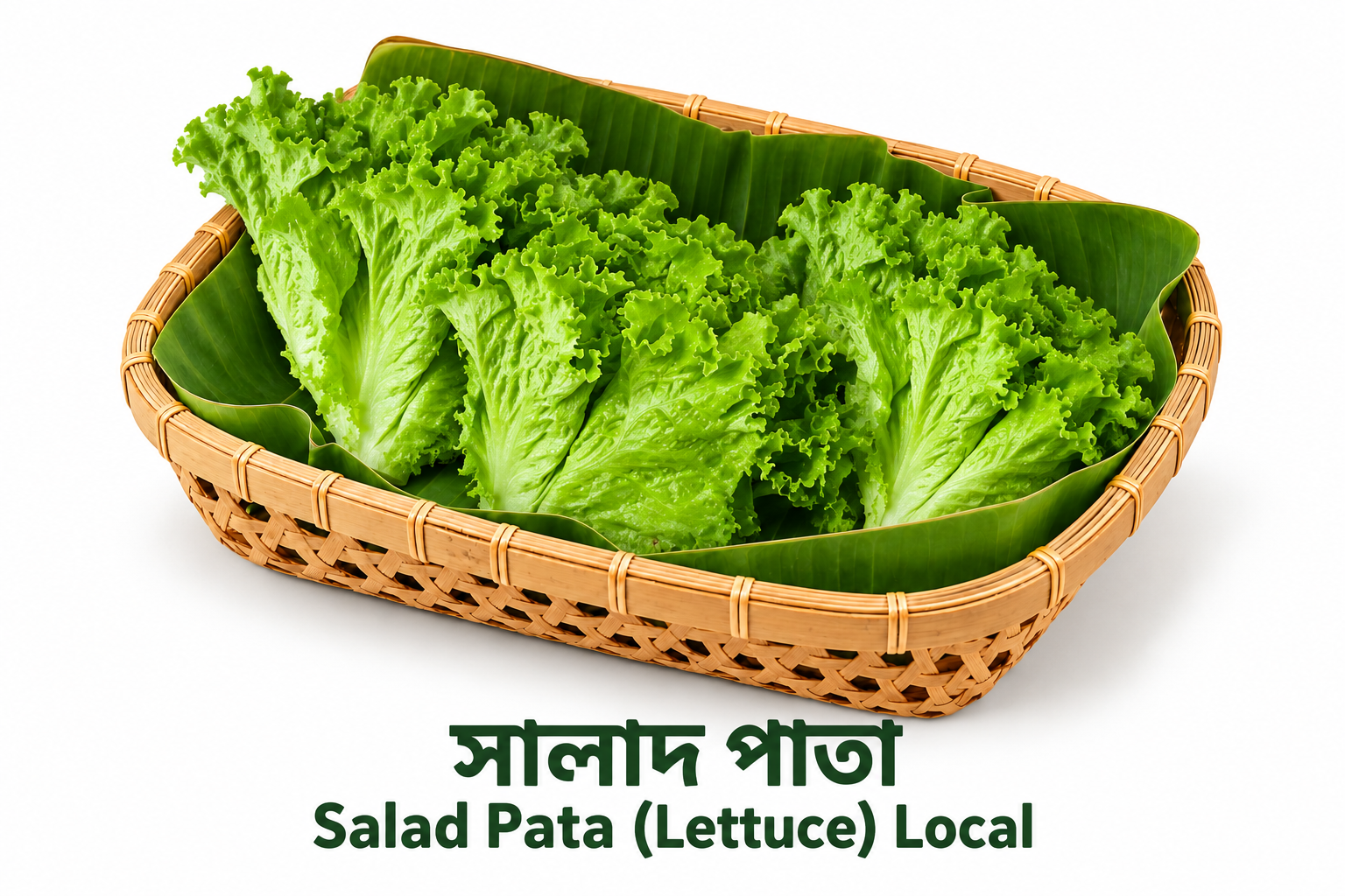 Salad Pata (Lettuce) Local